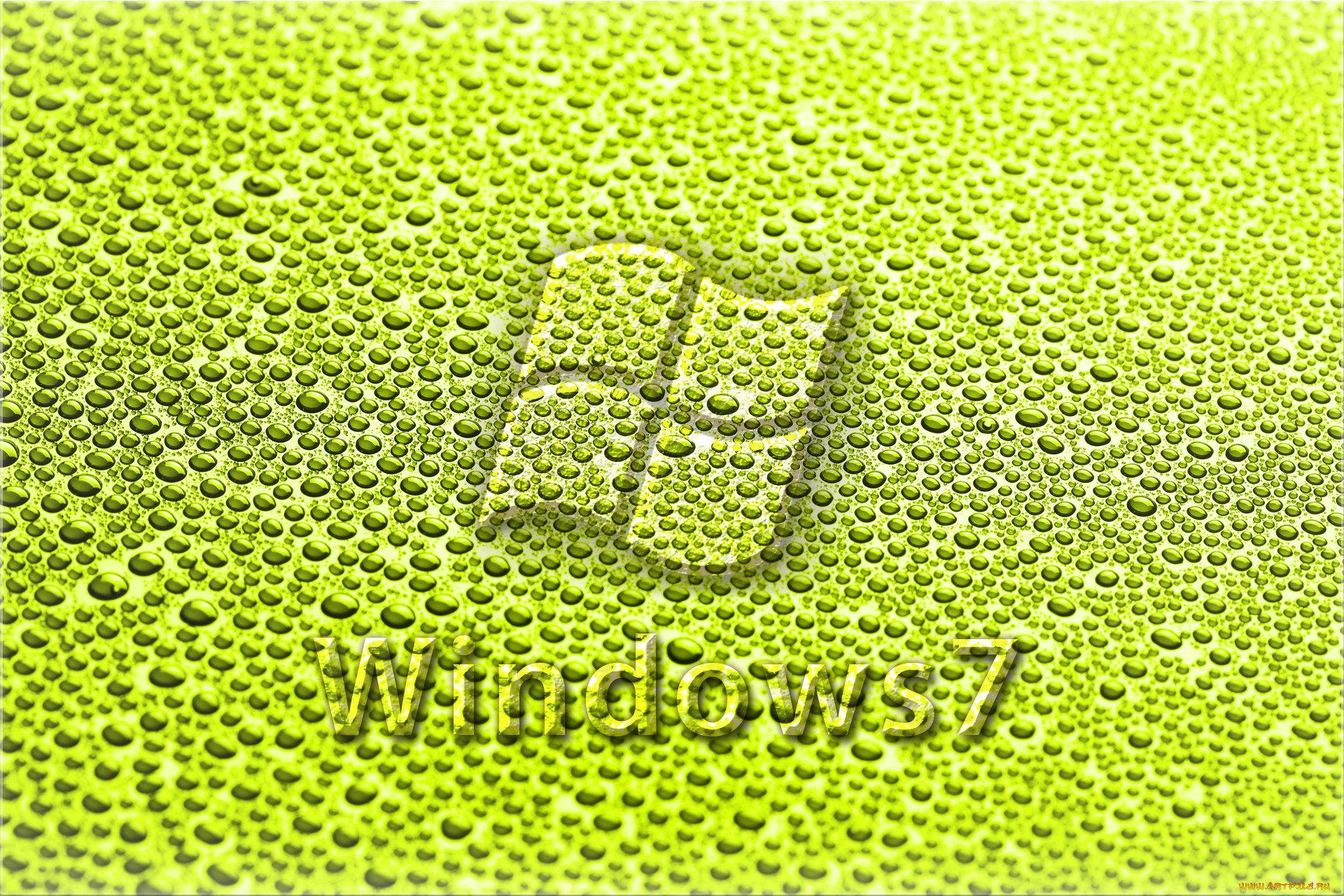 , windows, vienna, , , , 